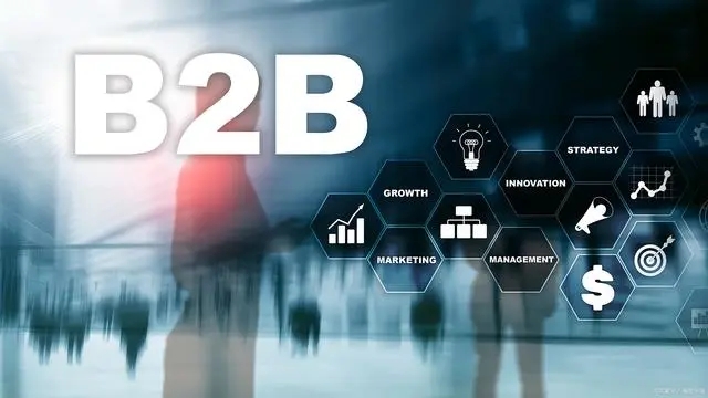 B2B交易网站开发：破解行业痛点，实现企业价值的最大化